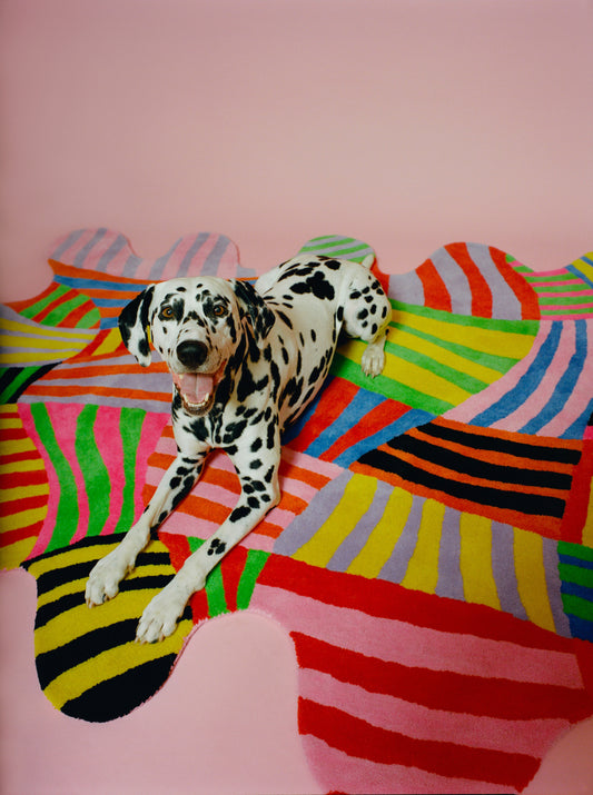 Image of a Dalmatian laying on top of the Squiggle Stripe Rug.