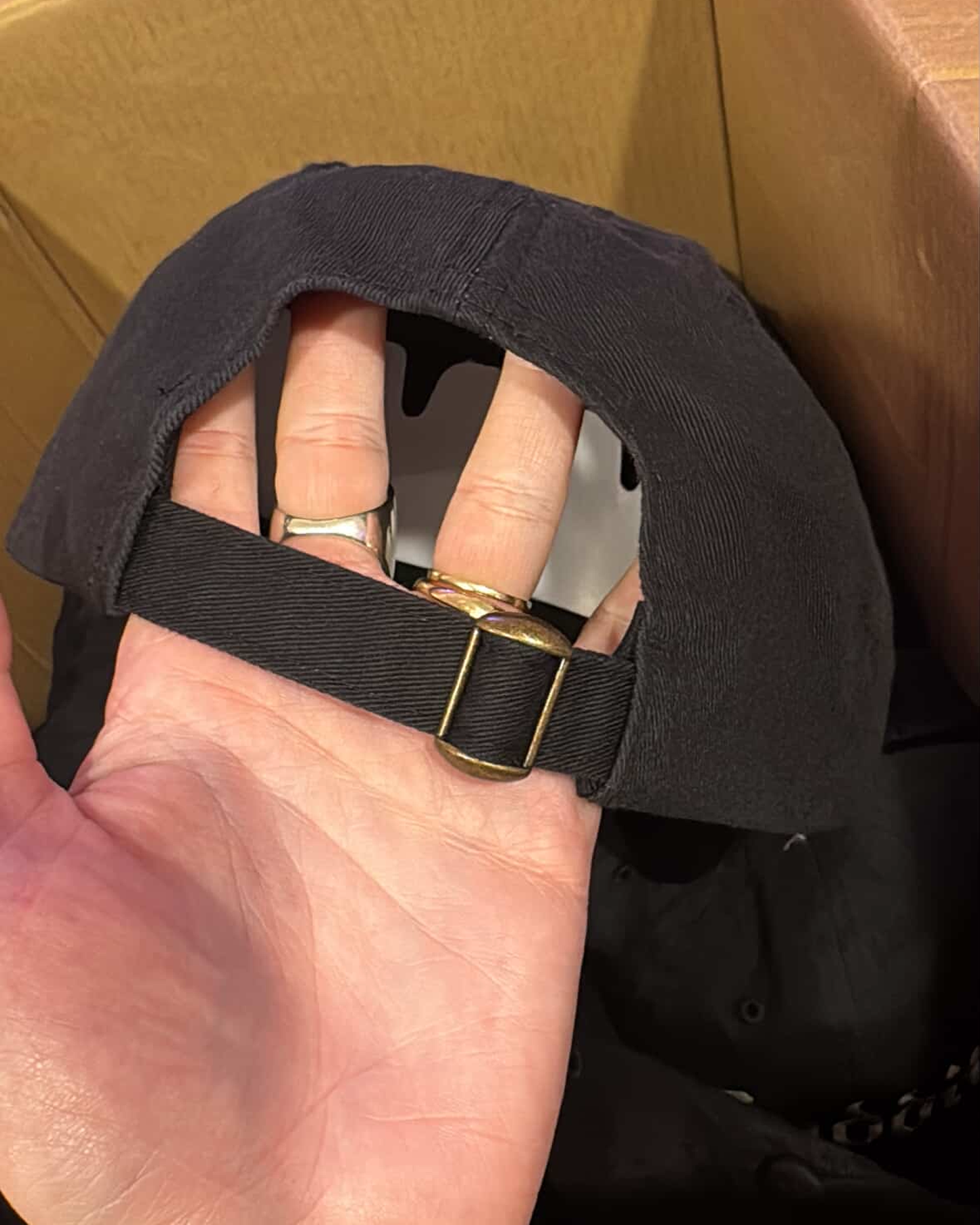 Luddite Baseball Hat