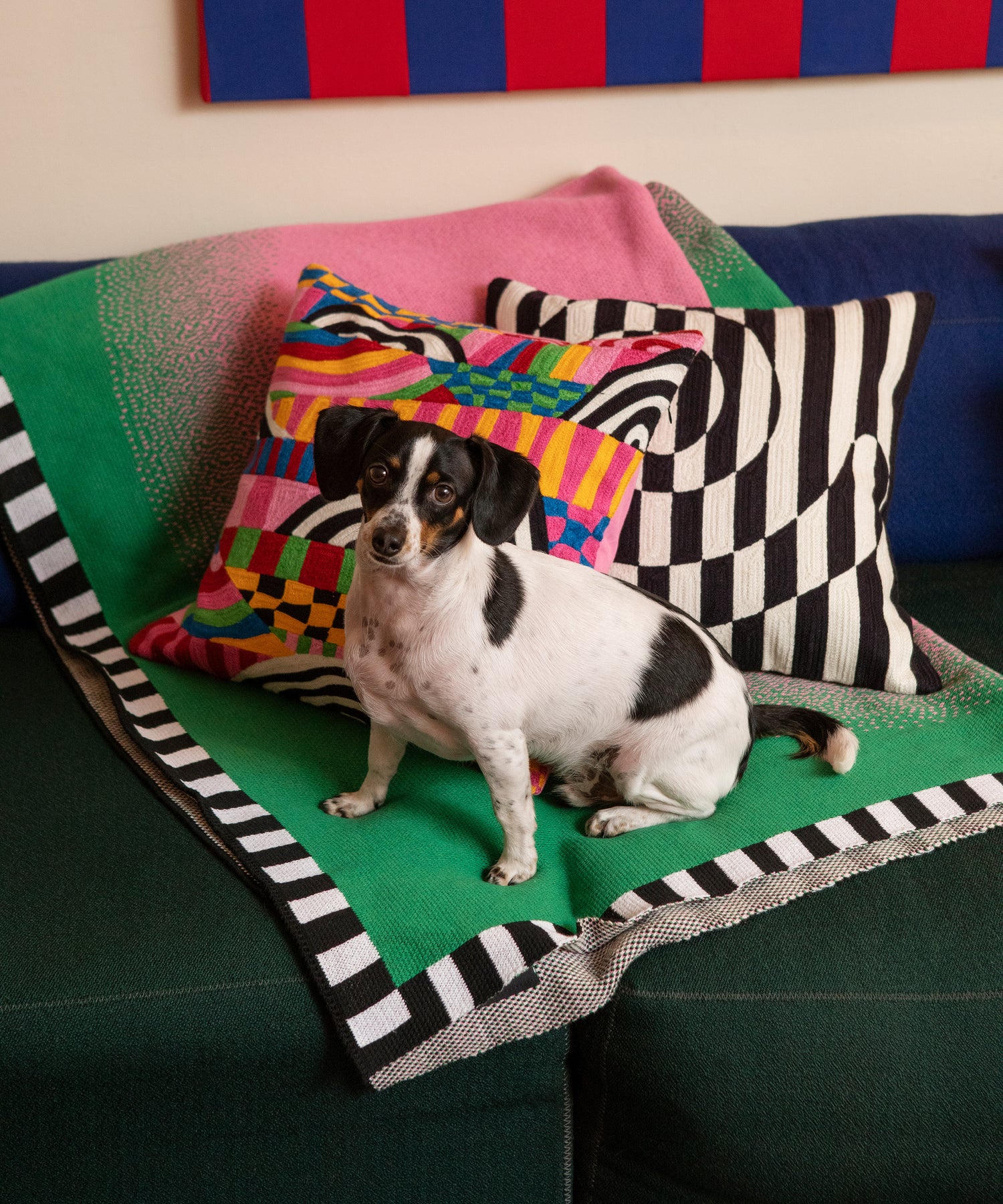 Detail image of burst blanket sloped on top of blue and green couch with a small dog looking at camera on top of it with Peaks and Valleys and Dazzle pillow cover. 