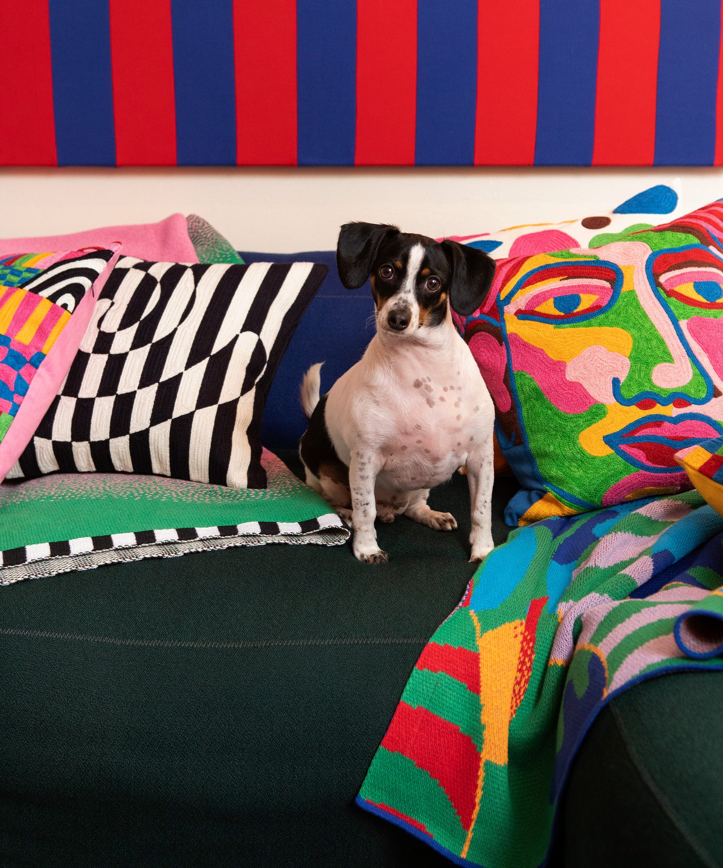 Detail image of Burst Blanket sloped across blue and green couch. The burst blanket lies to the left of the couch, to the right there is a small dog sitting and looking at the camera with the best buds blanket laying to the right with the Portrait pillow case on top. 